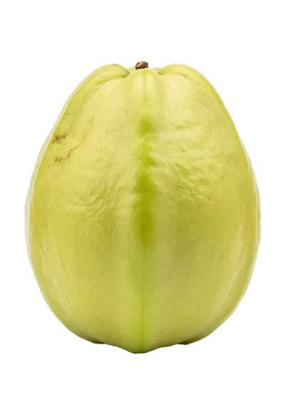 Imagen PNG para descargar